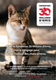 CAMPAGNE DE STERILISATION DES CHATS SAUVAGES