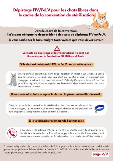 Copie de chats libres 1