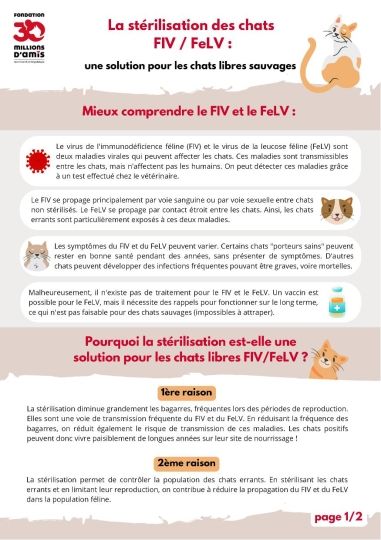 Copie de chats libres 2