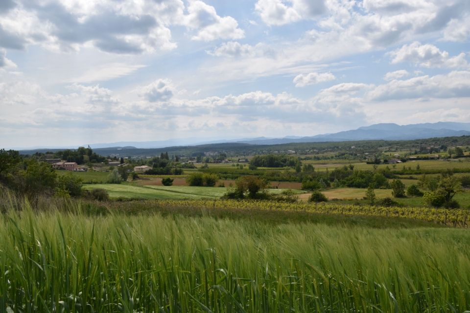 Le plot Moulin de Ronchin