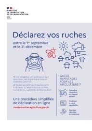 DÉCLARER VOS RUCHES