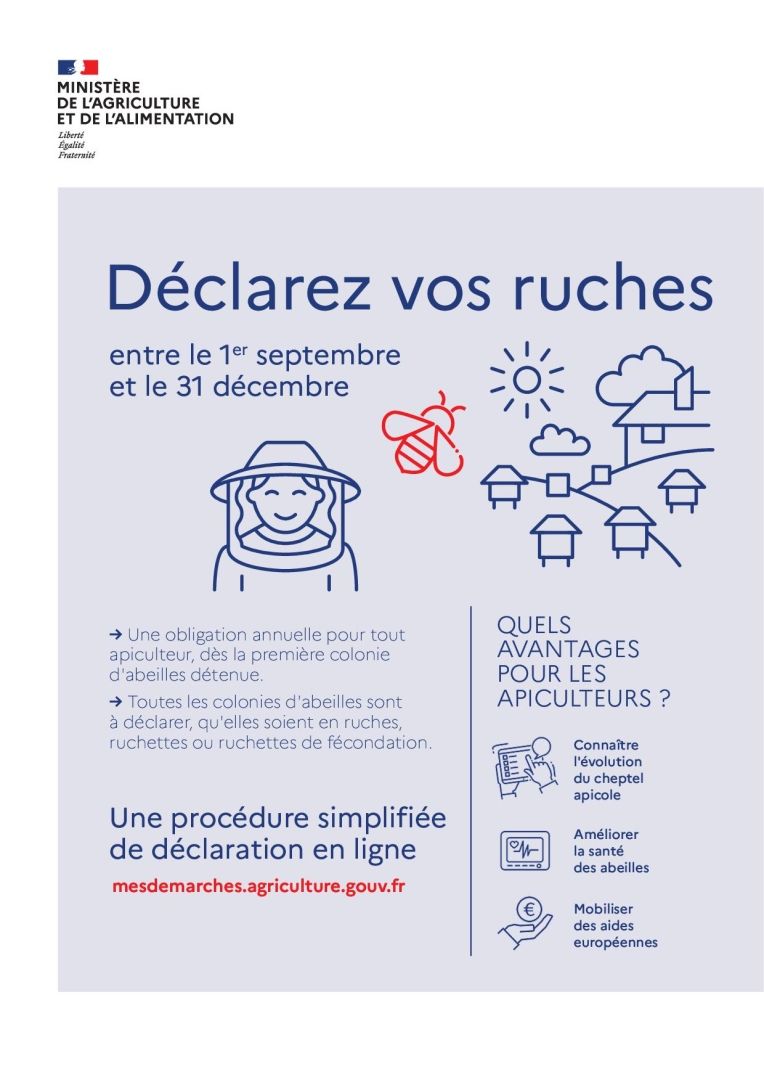 Plaquette_Declarer_une_ruche(1)